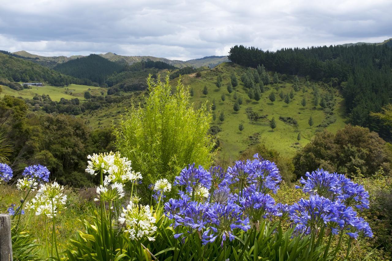 Villa Shemshi Gisborne Dış mekan fotoğraf